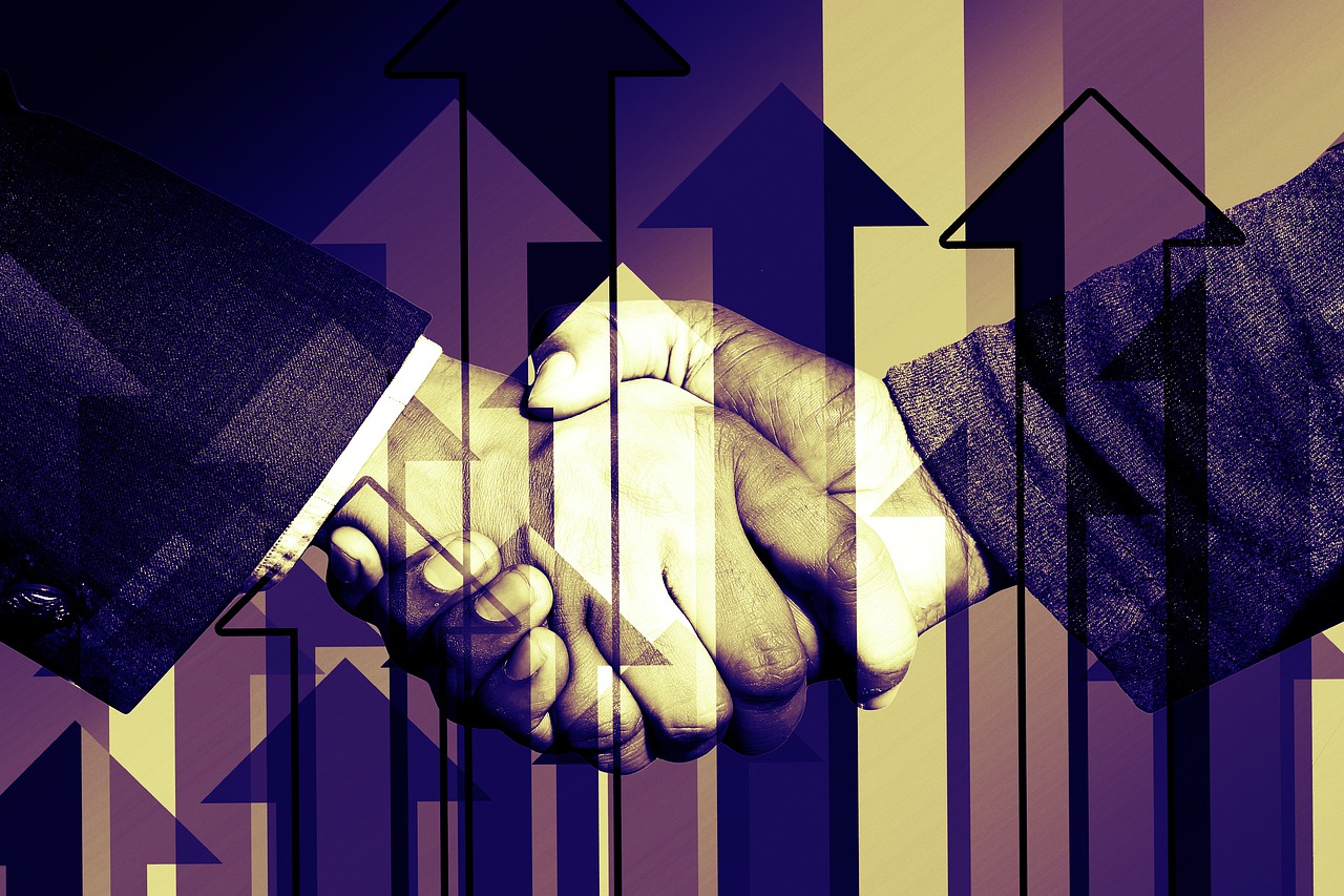 Business Handshake Shaking Hands  - geralt / Pixabay